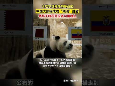 冬训成果验,攀岩选拔赛,周娅菲,欧博体育官网,OUBO,Abg,SPORTS,欧博体育中国官网,OUBO,Abg体育平台,欧博体育服务