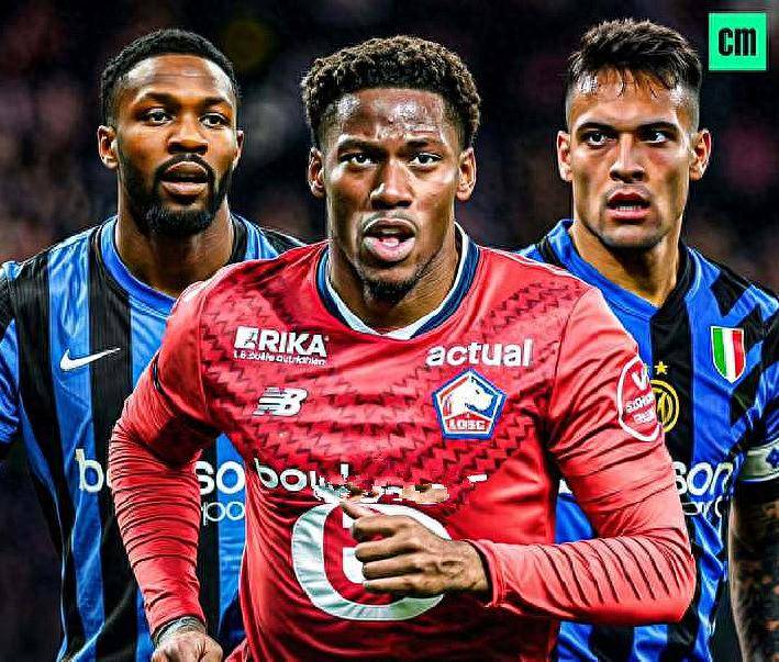 锋德托马斯 锋德托马斯